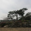 관음정사 Daum카페