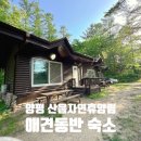 양평 국립산음자연휴양림 반려견지구 애견동반숙소 리뷰