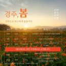 2024 경주국악여행 국악열전 | [경주문화재단 서포터즈] 2024 경주국악여행 &#39;국악열전&#39;