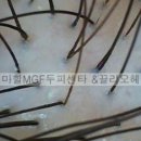 끌리오헤어 - 익산시 미륵사지로1길 46 | 끌리오헤어