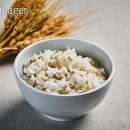 토지보리밥 이미지