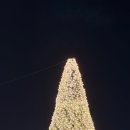 GS25(마산광장점) | 경상남도 창원시 마산 합포구 ( 창동(눈꽃축제) &amp; 오동동문화광장(크리스마스트리) )