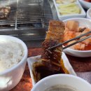 섬진강 민물장어 네이버블로그