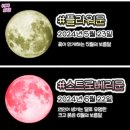 5월의제주[제주서쪽여행]제주2박3일여행,제주렌트카,제주맛집,SNS맛집,솥뚜껑흙돼지맛집
