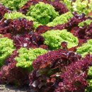 만포주유소 이미지