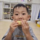 8-1 갯벌 농게, 참게, 따개비/옥수수/도마뱀알탐색 이미지