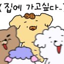 스피드세탁수선 이미지