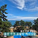 31140-5-6-14 | 울산 주전 보밑항 피크닉장 예약 후기 14번 명당 자리 해루질까지