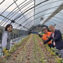 송광농장 이미지