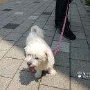 메이의산책 이미지