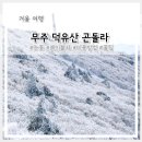 대양3급카써비스 | 겨울가볼만한곳 1순위 대전근교 겨울여행 덕유산 눈꽃 케이블카 곤돌라 이용방법 꿀팁