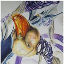 그림터미술학원 이미지