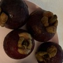 솔이끼 | 저번주말에는요~~~ 어디를 갔냐며는요~~~~!! 윤장나최 단양 우정여행♥