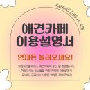 아망도그플레이스 이미지