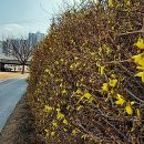 신천왕성