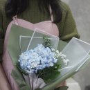 배움트리학원 - 22417 | 배움트리학원