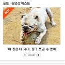 오디건강체험마을 이미지