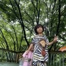 삼화힐링타운2 이미지