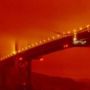 장훈농장 이미지