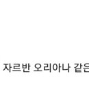 래퍼드스포츠 - 보령시 명암1길 17 | 래퍼드스포츠