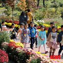 유림어린이집 이미지