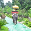 풍차 빌리지 이미지