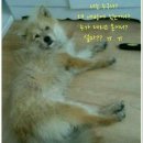 주태백