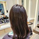 헤어씨티 이미지