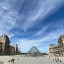 앨리(ALLEY) 이미지