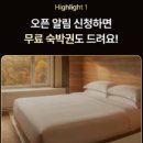 포레스트탭룸 | 워커힐 호캉스 71% 특가 그랜드·비스타·더글라스 어디가 나한테 맞을까