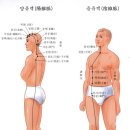 고려수지침 복현지회 티스토리