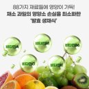 참미래식량연구소 선식 후기｜비건음식으로 간편하게 챙기는 한 끼