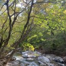 증포화원 | 행복한 1박 2일(2일 편)