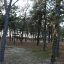 마검포해수욕장 이미지