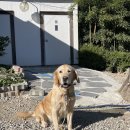 어슬티굿밤 이미지