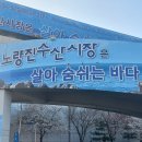[노량진 수산시장 맛집 5곳]