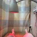 동탄뿌리한의원 이미지