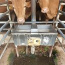 정우축사 이미지