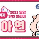 공설운동장 게이트볼장 이미지