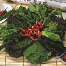 삼성에프엠의원 이미지