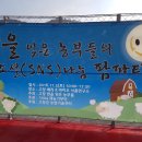 소셜베리