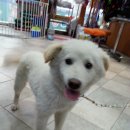 인후초등학교 이미지