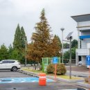 삼성체육공원 이미지