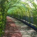 부천종합운동장(부천도시공사) 이미지