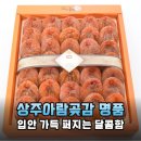 쫄깃달콤 상주곶감, 겨울철 건강 간식으로 딱!