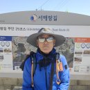 신안모텔 이미지