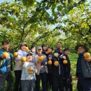 천수농장 이미지