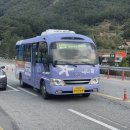수동1리 이미지