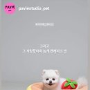 스튜디오 눕 이미지