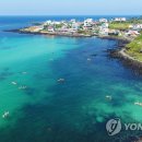 동굴에 평화의 동백이 이미지